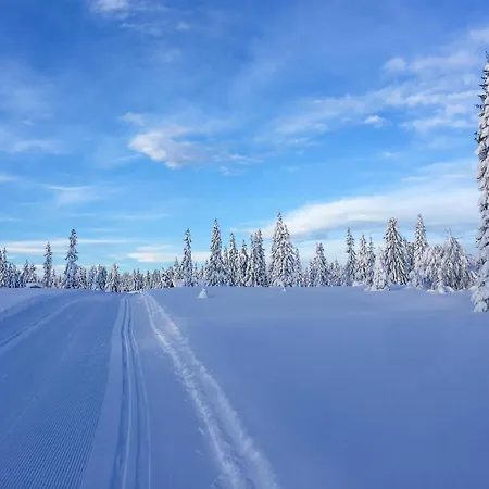 Stunning In With Sauna بيت للعطل Sjusjoen