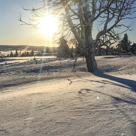 Stunning In With Sauna Sjusjoen