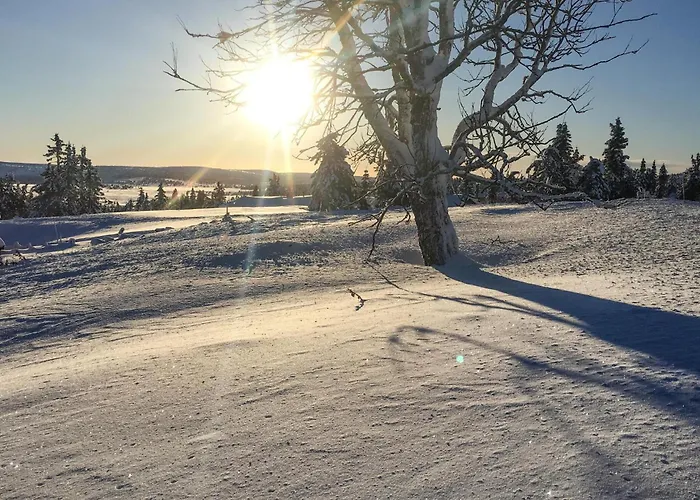 Stunning In With Sauna Sjusjoen