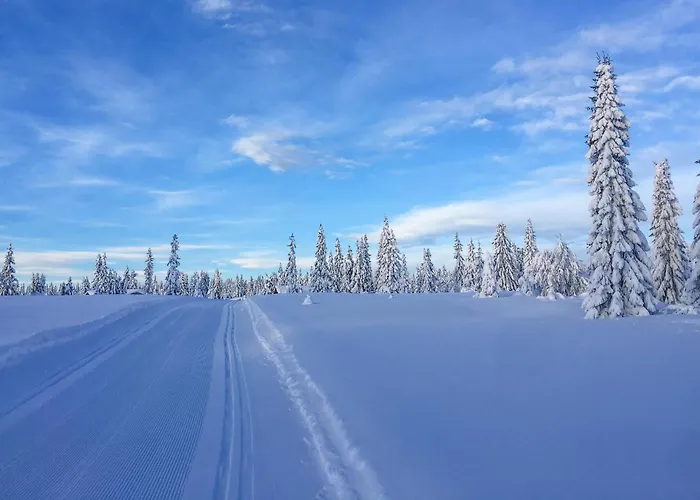 Stunning In With Sauna Ferienhaus Sjusjoen